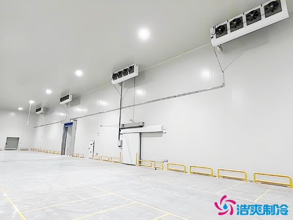 商業(yè)冷凍庫每平米造價多少錢？不同類型商業(yè)冷庫造價估算