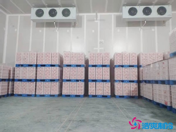 水果恒溫貯藏庫(kù)造價(jià)