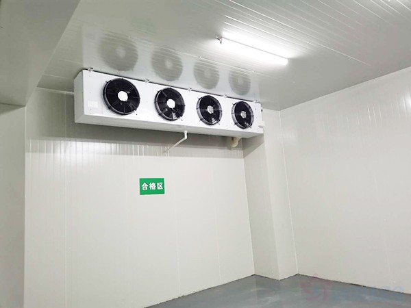 獸用生物制品冷庫面積需要建多大？造價預算多少錢