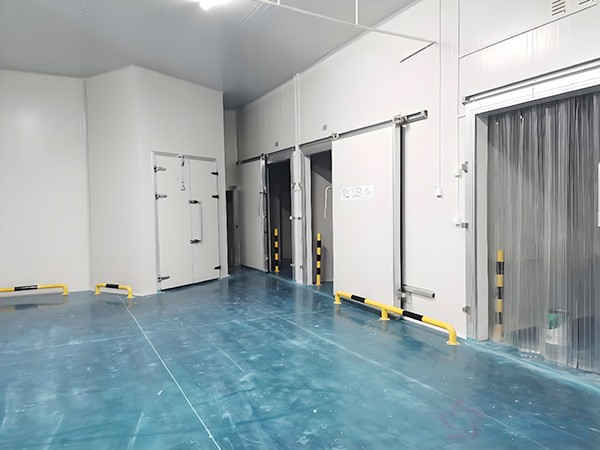 上海生物醫(yī)藥冷庫安裝造價多少錢？