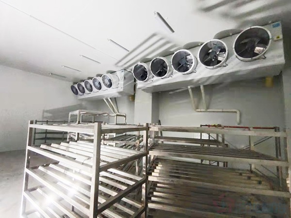 建造1000立方冷凍庫配多大壓縮機(jī)？造價(jià)預(yù)算多少錢？