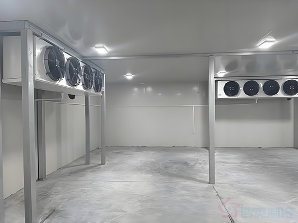 基因冷庫(kù)建設(shè)需要滿足什么標(biāo)準(zhǔn)條件