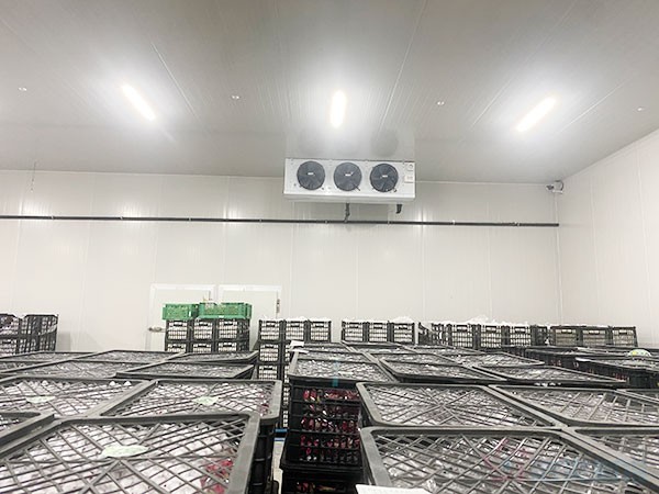 金針菇冷庫(kù)和香菇冷庫(kù)建造價(jià)格是如何計(jì)算的?