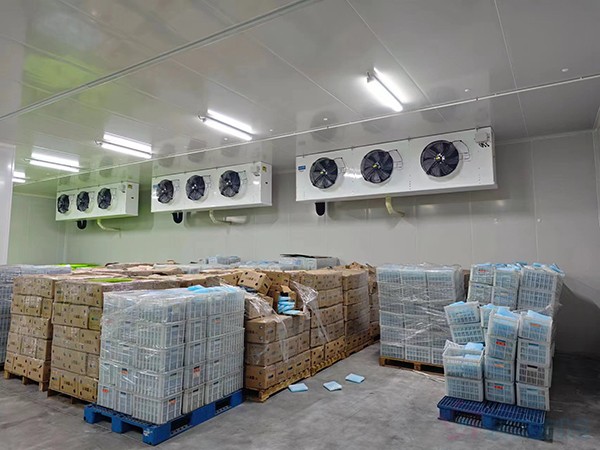 大型工業(yè)藥品冷庫(kù)建設(shè)安裝價(jià)格大概多少錢(qián)？