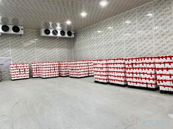 100噸水果保鮮冷庫造價預算大概多少錢？