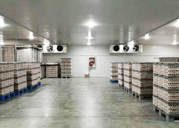 50平米冷凍庫安裝價格