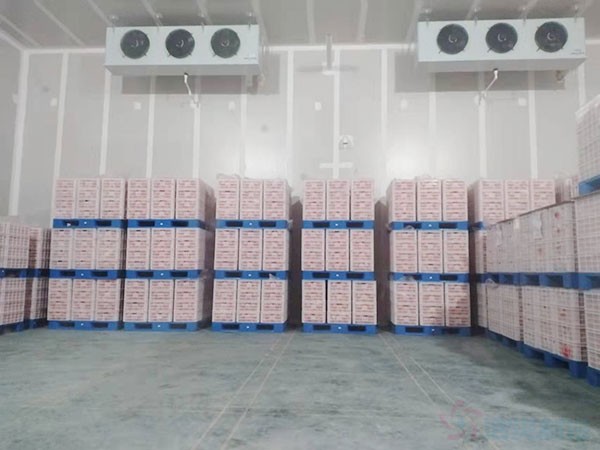 湖南水果氣調(diào)冷庫(kù)造價(jià)