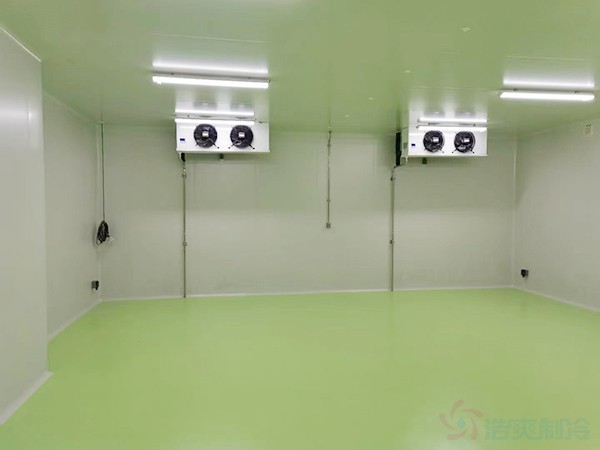 江西低溫醫(yī)藥冷庫建設