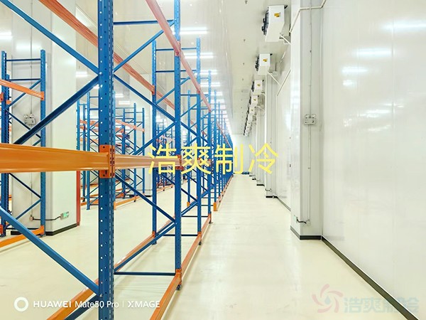 河北2-8℃醫(yī)藥標(biāo)準(zhǔn)冷庫(kù)設(shè)計(jì)多少錢？