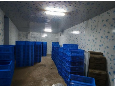 云南保山(食用菌）羊肚菌烘干房設(shè)計建造案例