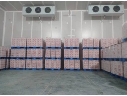 湖州練美農(nóng)業(yè)果蔬產(chǎn)地型氣調(diào)冷庫建造工程案例