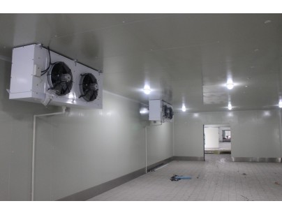 我廚（上海）生鮮果蔬凈菜加工冷庫工程建造案例