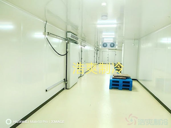 醫(yī)藥冷庫設(shè)計(jì)