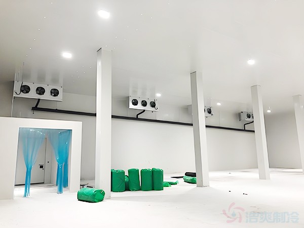 冷庫(kù)建造多少錢