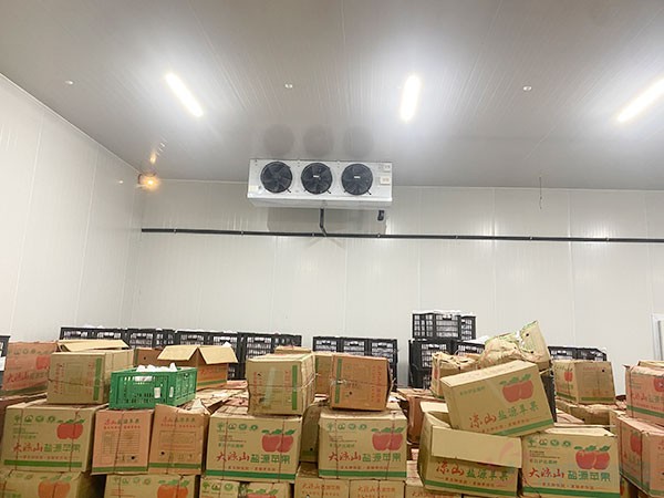 蘋果冷庫建設(shè)費(fèi)用