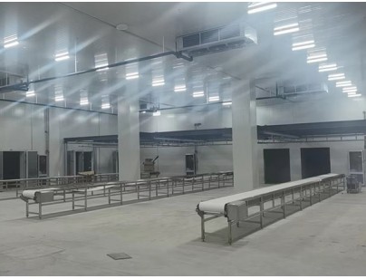 廣西大化起點(diǎn)農(nóng)牧2000m3畜禽肉類屠宰加工冷鏈中心建造冷庫(kù)工程案例