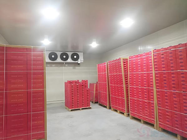 上海冷庫(kù)建設(shè)