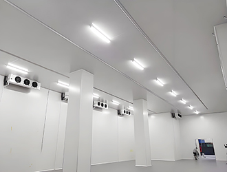 1萬(wàn)噸干辣椒冷庫(kù)需要建設(shè)多少平米?