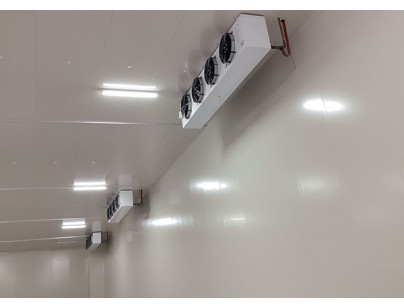 安徽翔威供應(yīng)鏈14500m3保稅區(qū)冷鏈物流冷庫(kù)工程建造案例