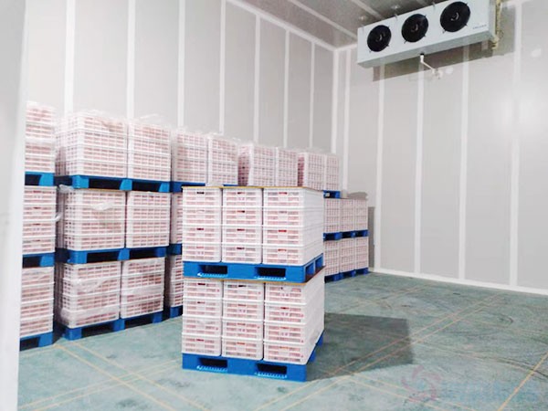 保鮮庫造價(jià)