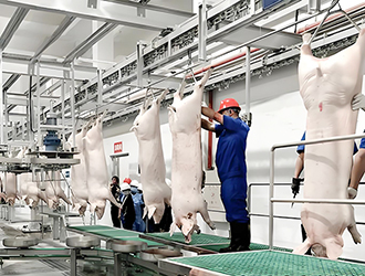 什么是屠宰冷庫(kù)？屠宰廠(chǎng)冷庫(kù)原理詳解