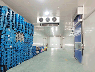 建造一個(gè)冷庫(kù)需要費(fèi)用多少錢(qián)？